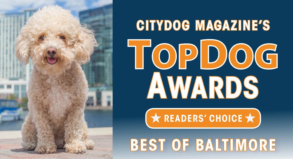 Baltimore Top Dog Awards