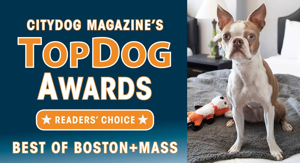 Boston Top Dog Awards