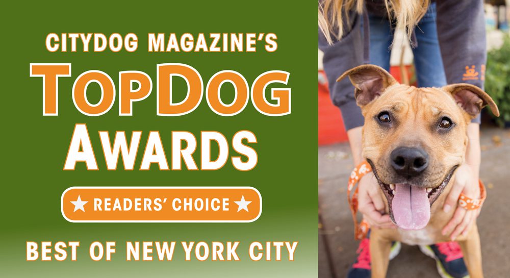 New York Top Dog Awards