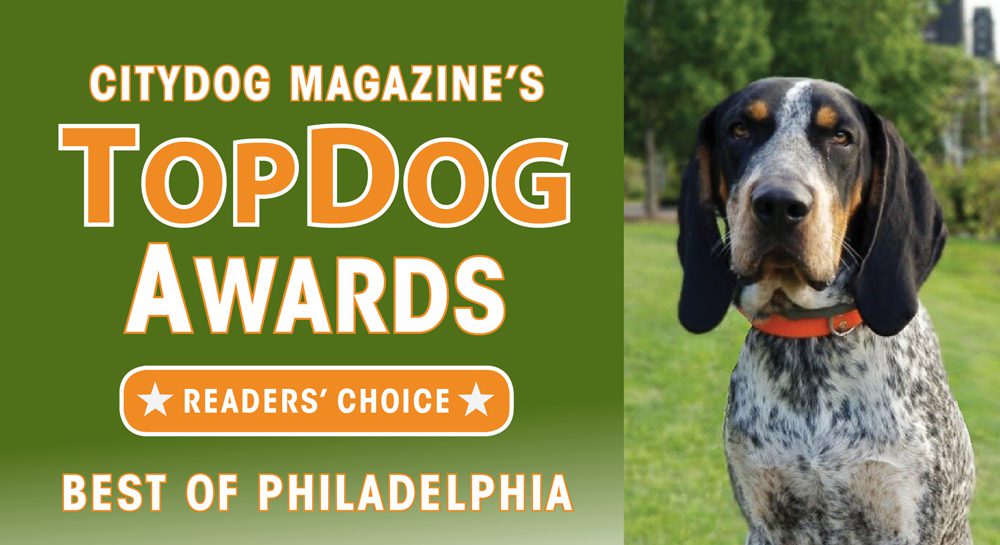Philly Top Dog Awards