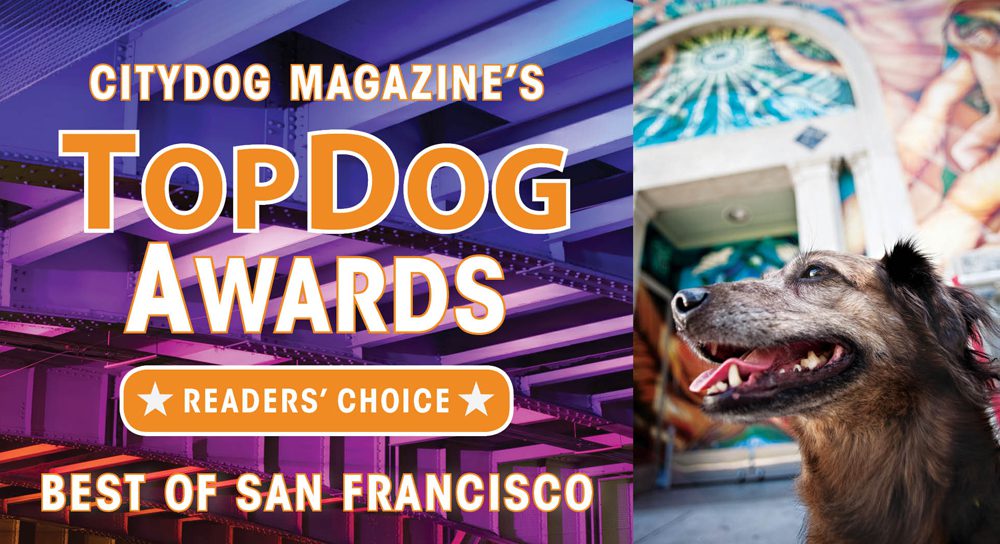 San Francisco Top Dog Awards